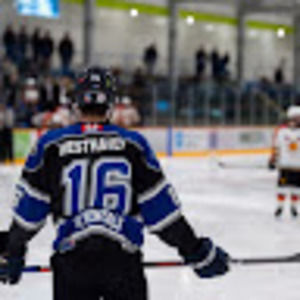 Meet your Posher, Andy